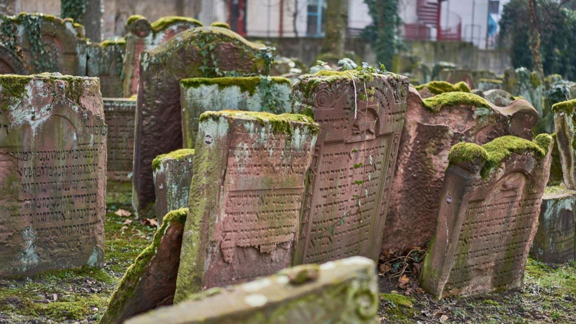 Bild des Jüdischen Friedhofs Battonstraße Frankfurt am Main